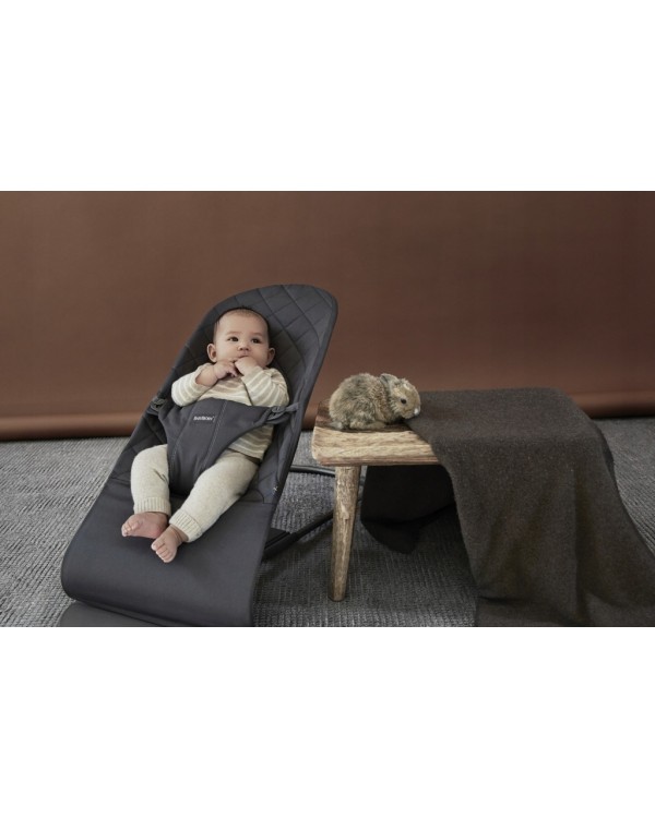 Шезлонг BabyBjörn Babybjorn Bliss x 39 x 56 см. BABYBJORN BLISS шезлонг крісло WOVEN 2in1