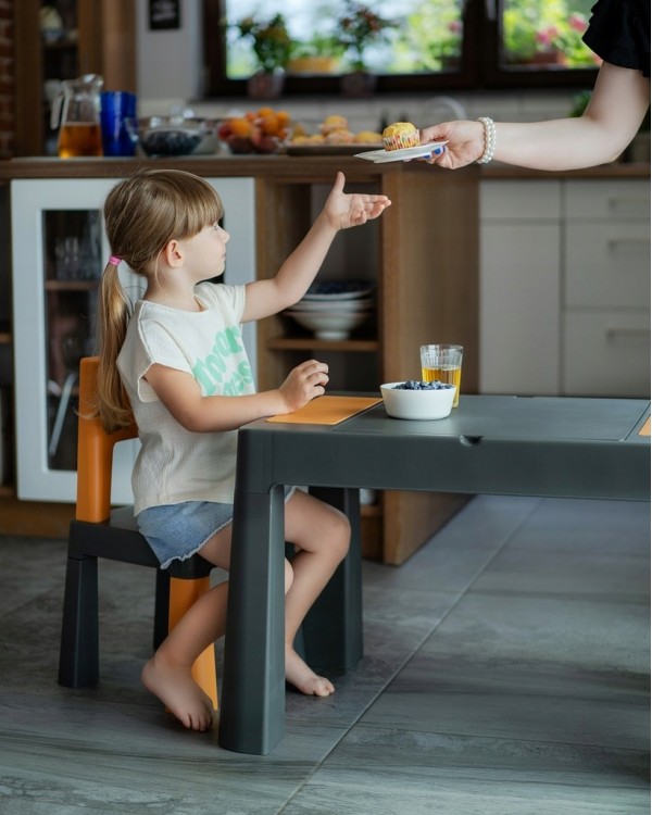Комплект Teggi Tega Baby Multifun столик і два стільчика Graphite-Mustard 1+2 TI-011-172 5905489408253